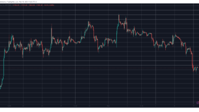 70 Mrd. $ von den Kryptomärkten verschwunden, da die SEC gegen CEXs vorgeht: Marktbeobachtung