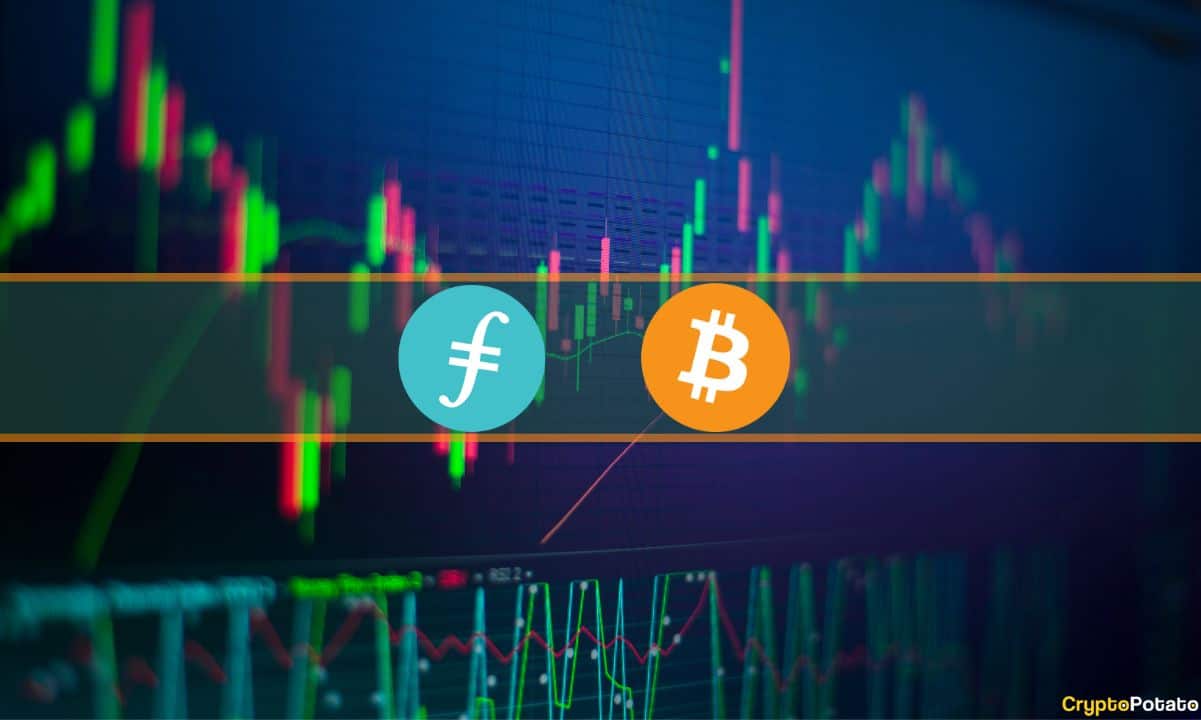 Filecoin steigt wöchentlich um 70 %, Bitcoin wird bei 25.000 $ abgelehnt: Market Watch