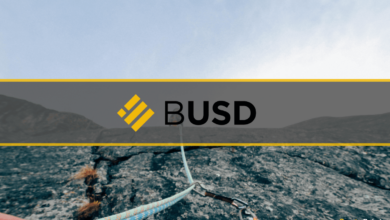 Die Rückzahlungen von Binance USD (BUSD) steigen auf 360 Mio. USD, da die Anleger in Panik geraten