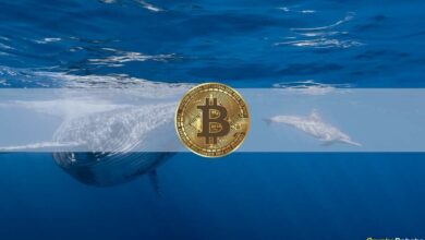 Die mysteriösen Wale oder warum Bitcoin in Stunden um mehr als 2.000 $ explodierte