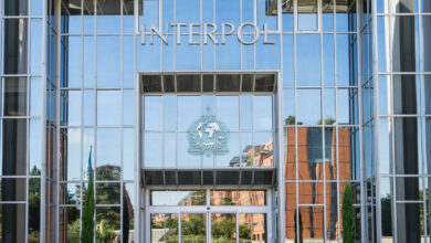 interpol metaverse policing