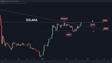 SOL explodiert täglich um über 10 %, stehen 30 $ unmittelbar bevor? (Solana-Preisanalyse)