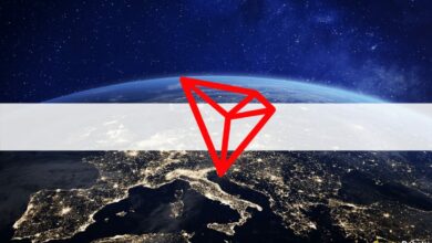 Tron erzielte im 4. Quartal 2022 einen Umsatz von 48 Millionen US-Dollar: Forschung