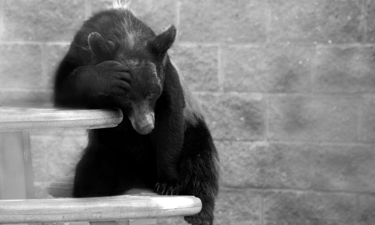 Bitcoin explodiert über 26.000 USD und hinterlässt über 120 Millionen USD in einer Stunde