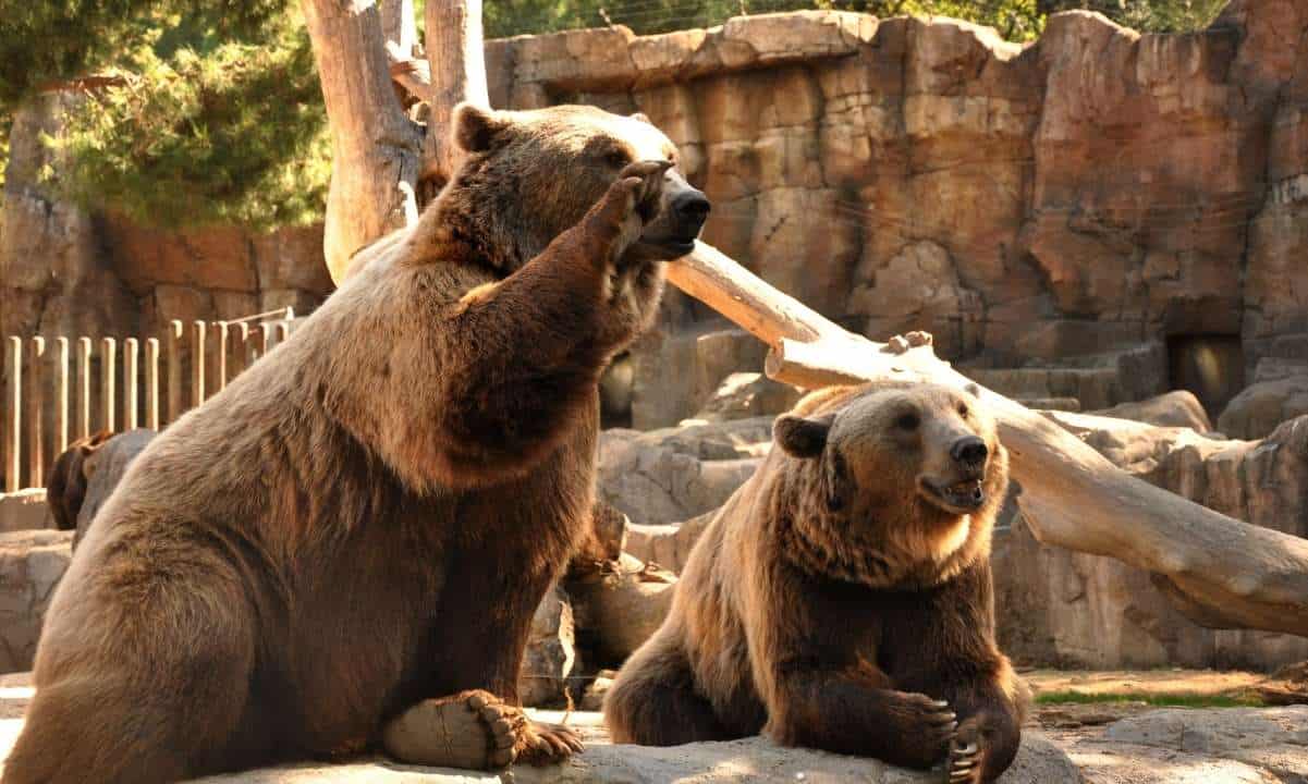 Bitcoin stürzt um 7 % ab, Probleme mit der Silvergate Bank verschärfen sich, ETH Shanghai rückt näher: Die Zusammenfassung dieser Woche