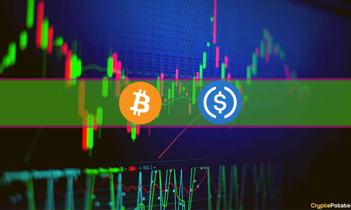 USDC erholt sich auf 0,95 $, Bitcoin erobert die 20.000 $-Marke zurück (Weekend Watch)