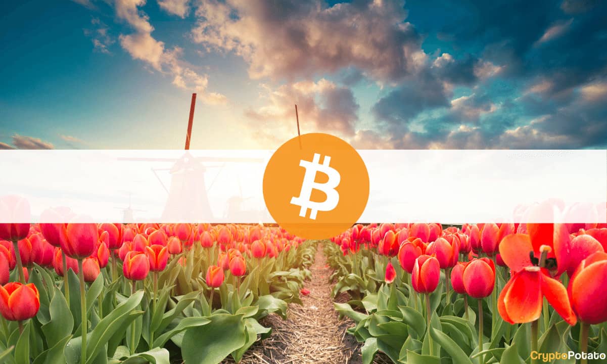 Laut den Untersuchungen von Dua Crypto sind die Niederlande die am meisten interessierte europäische Nation für Kryptowährungen. Russland (wo die lokale Zentralbank die Anlageklasse überwiegend negativ bewertet) steht ganz unten auf der Liste. Bitcoin (BTC) ist in den meisten Ländern die beliebteste digitale Währung, während Dogecoin (DOGE) an zweiter Stelle steht. Die Holländer haben die Spitze erreicht Die Studie schätzte, dass die Einwohner der Niederlande die höchste Anzahl an kryptobezogenen Suchanfragen pro Kopf durchgeführt hatten (0,1299). Der führende digitale Vermögenswert nach Marktkapitalisierung – Bitcoin – ist der Favorit der Einheimischen, während die beliebte Memecoin – Dogecoin – und Cardano jeweils …