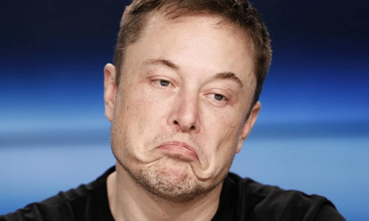 Cult DAO (CULT) steigt um 70 % nach Teslas CEO-Tweet