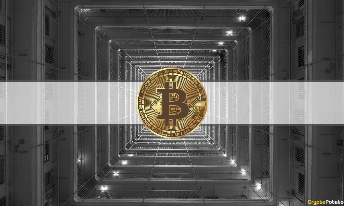 Als Spekulanten in Scharen BRC-20-Tokens über Textinschriften prägten, erlebte der Bitcoin-Blockspace in den letzten Wochen einen explosionsartigen Anstieg der Nachfrage. Diese dramatische Veränderung der Netzwerkaktivität führte zu einem Anstieg der Transaktionsgebühren auf ein Niveau, das in den letzten zwei Jahren nicht mehr erreicht wurde. Anzeichen einer Überlastung In einem neuen von Bitfinex veröffentlichten Bericht wurde festgestellt, dass die Einführung von BRC-20- und Bitcoin-basierten Smart Contracts die Blockchain von ihrem traditionellen Ruf als „einfaches digitales Währungsbuch“ in eine „dynamischere, Smart-Contract-fähige Kette“ verwandelt. Daten deuten darauf hin, dass BRC-20-Token letzte Woche mehr als 60 % aller Transaktionsaktivitäten auf der Bitcoin-Blockchain ausmachten und …