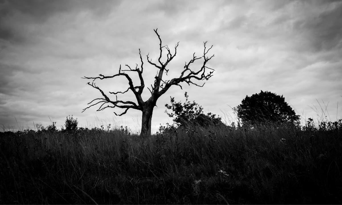 Indischer Investor beging Selbstmord, nachdem er Geld mit Bitcoin verloren hatte (Bericht)