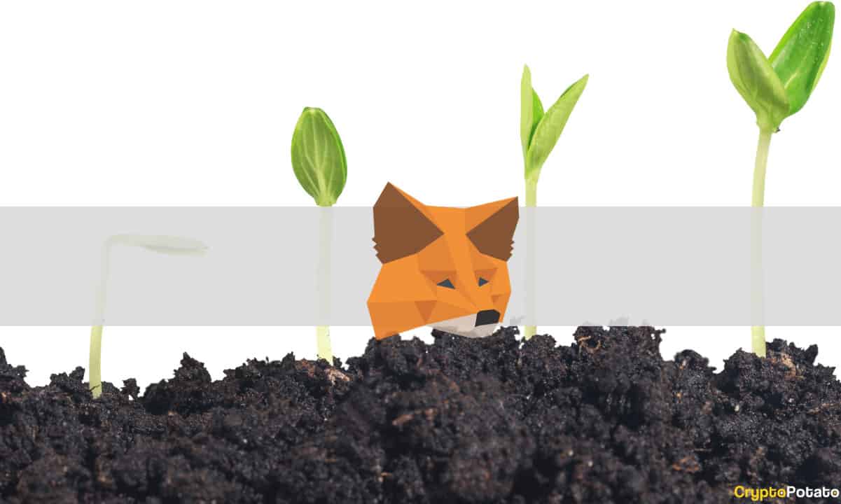 MetaMask startet SDK, das es Benutzern ermöglicht, mit Web3-Spielen zu interagieren