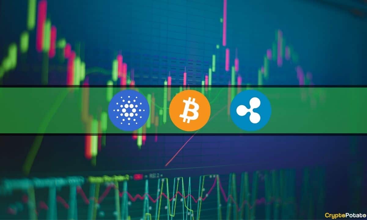Wenn auch in bescheidenerem Maße als die Altcoins, brach Bitcoin gestern stark ein, um fast ein Tausendstel, bevor es im Laufe des Tages zu größerer Volatilität kam. Die meisten alternativen Münzen brachen jedoch stark zweistellig ein. Die letzten 24 Stunden waren positiver, da ADA, SOL, SHIB und viele andere es geschafft haben, sich zu erholen. Achterbahn der Alts Man kann mit Sicherheit sagen, dass die jüngsten Behauptungen der US-Börsenaufsichtsbehörde Securities and Exchange Commission, dass es sich bei vielen Kryptowährungen tatsächlich um nicht registrierte Wertpapiere handeln könnte, begonnen haben, ihren Tribut vom Markt zu fordern. Die Ereignisse von gestern bestätigen dies. …