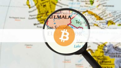 Die Zentralbank von El Salvador registriert 80 Bitcoin-Dienstleister