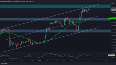Kommen als nächstes 30.000 $ oder kommt ein Dump auf 25.000 $? (Bitcoin-Preisanalyse)