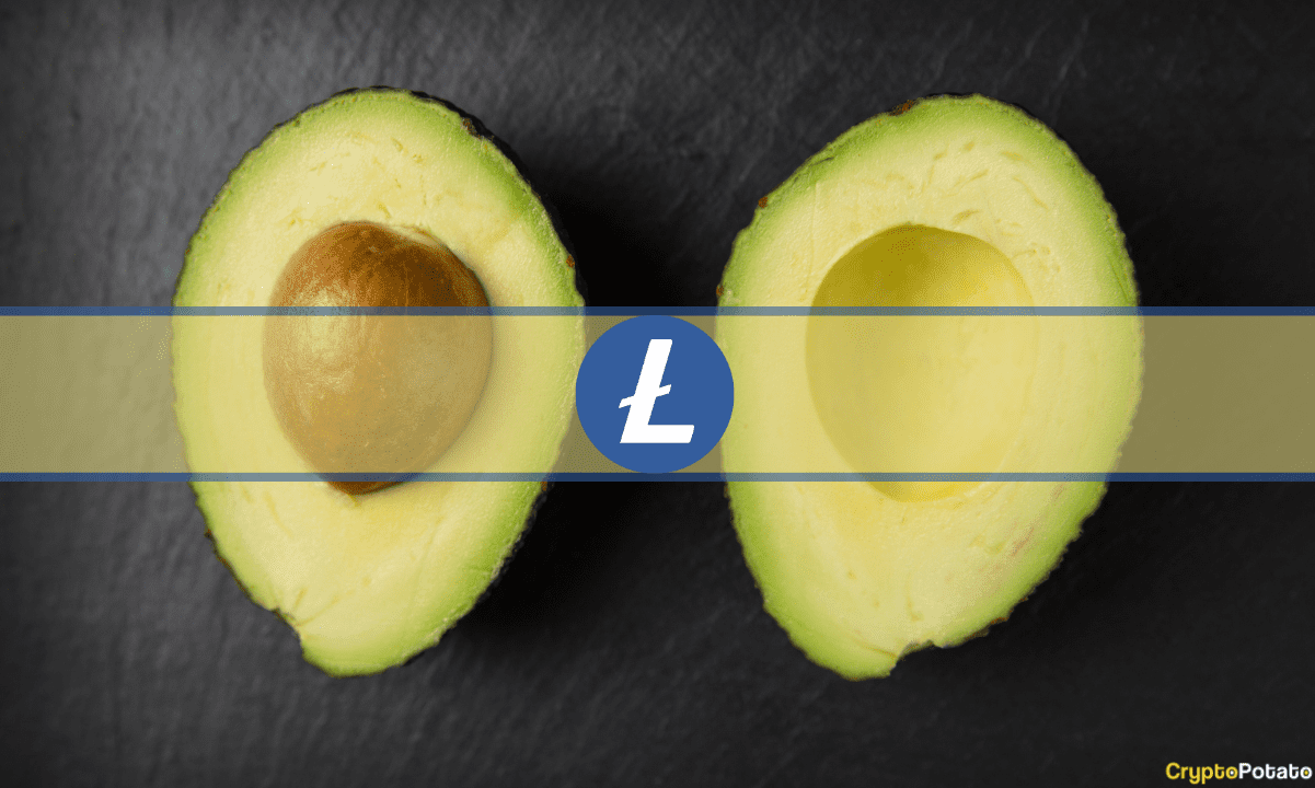 Litecoin verzeichnet vor der Halbierung eine erhöhte Netzwerkaktivität