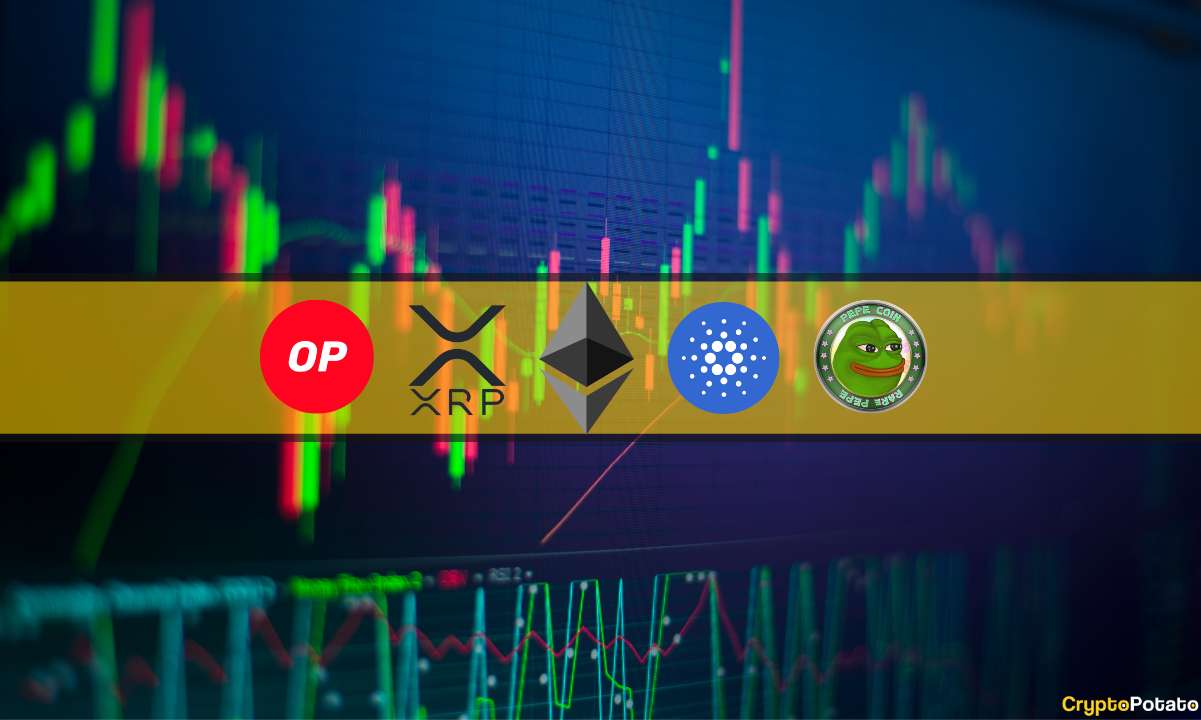 ETH, XRP, ADA, OP und PEPE