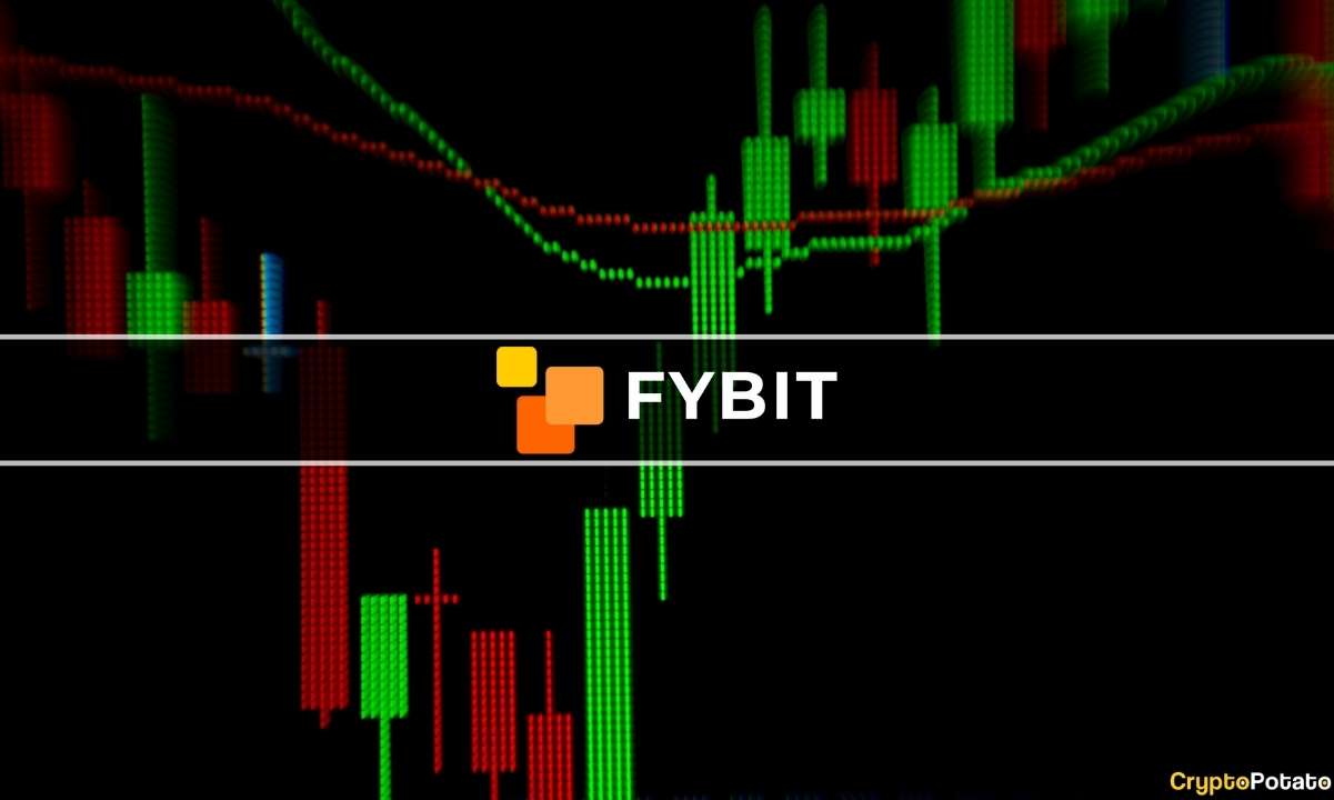 Das einzigartige Partnerprogramm von FYBIT verstehen