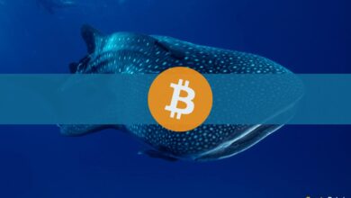 Die Bitcoin-Wal-Adresse wird nach einem Jahrzehnt aktiviert und überträgt BTC im Wert von 37,8 Millionen US-Dollar