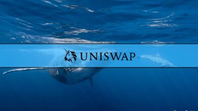 Dieser Wal sammelte danach UNI-Token im Wert von fast 4 Millionen US-Dollar Uniswap's V4-Draft-Release