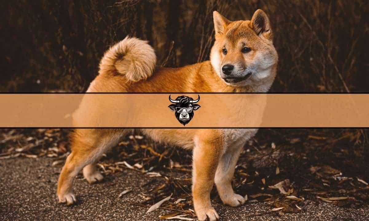Shiba Inu (SHIB) ist in der vergangenen Woche um 11 % gestiegen, wobei der Token fünf zinsbullische Tagesabschlüsse in Folge verzeichnete. SHIB hatte seit Anfang März keinen solchen Hitzschlag mehr – und meme coin Enthusiasten diskutieren nun, was hinter dem Anstieg steckt und ob er nachhaltig sein kann. Ansonsten Neuigkeiten, mein Meme-Kollege coin Das Projekt Wall Street Memes (WSM) begeistert die Investment-Community während seines Vorverkaufs weiterhin und sammelt über 8,7 Millionen US-Dollar an Frühfinanzierungen. Shiba Inu zeigt herausragende Leistung und sorgt für einen Aufwärtstrend Zum Zeitpunkt des Verfassens dieses Artikels pendelt SHIB um die Marke von 0,00000718 US-Dollar, nachdem ein …