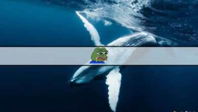 PEPE-Wale verkaufen mit enormen Verlusten als Meme Coins Bluten Sie weiter