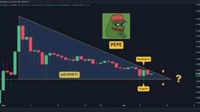PEPE stürzt in 7 Tagen um 15 % ab, aber steht ein großer Schritt bevor? (PEPE Coin Preisanalyse)