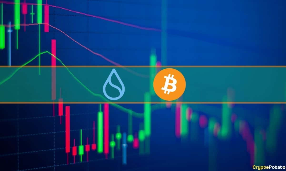 SUI explodiert täglich um 16 %, Bitcoin schwankt bei 26.000 $ (Market Watch)
