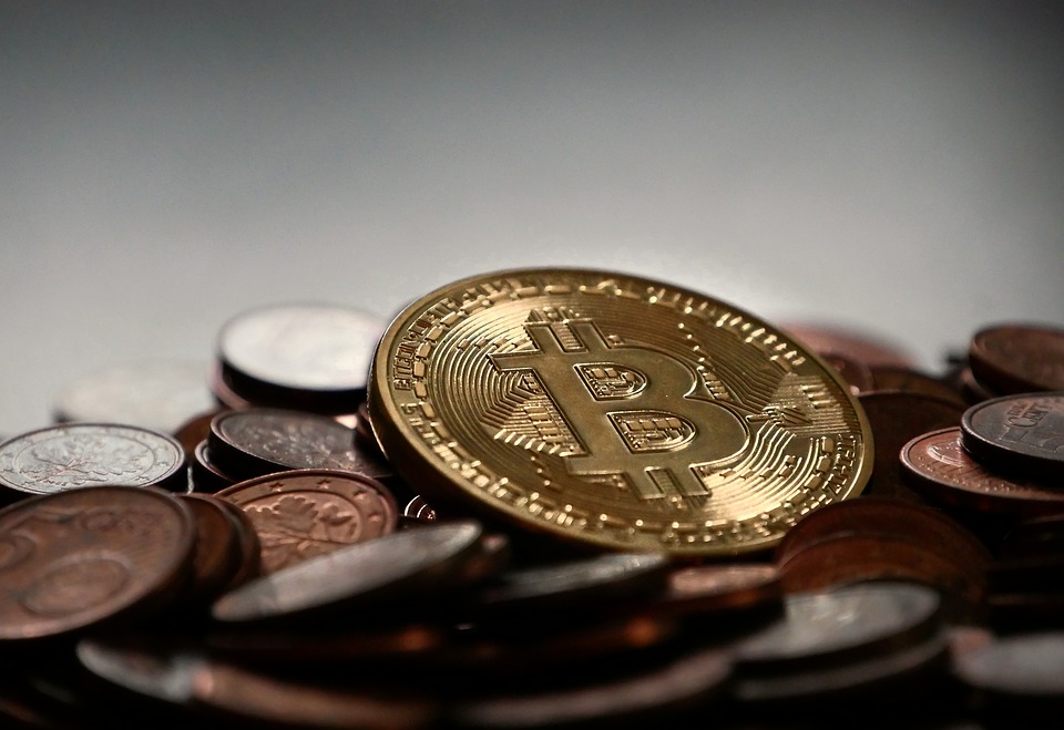 Bitcoin-Wale und -Haie kaufen in den letzten drei Wochen 71.000 BTC - Was steckt dahinter?