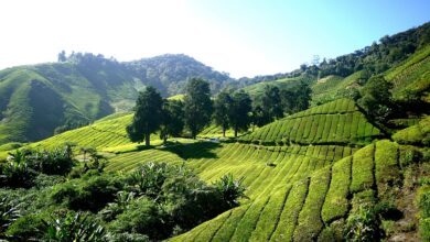 Bitcoin-Spot-ETF seit 10 Jahren verhindert: Cameron Winklevoss erneuert Kritik an SEC