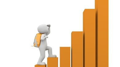 Wie Stablecoins die Strippen für ein grünes ADA ziehen
