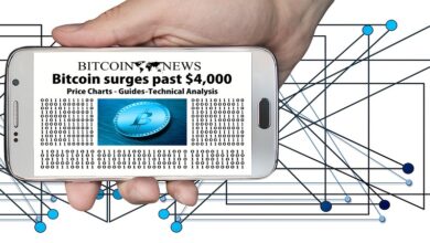29 % des Bitcoin-Angebots stagnieren seit über 5 Jahren, Wert auf über 235 Milliarden US-Dollar