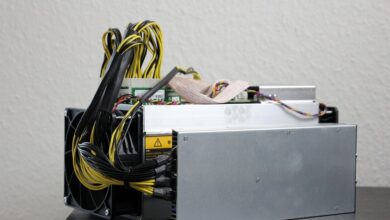 Bitcoin ist eine Chance für Umwelt und Klimawandel