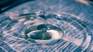 Krypto News Rückblick: Das war diese Woche wichtig