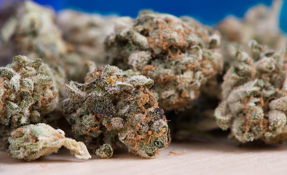 Südafrika schreibt Lizenzen für Kryptowährungsunternehmen vor - Massive Konsequenzen für illegale Aktivitäten