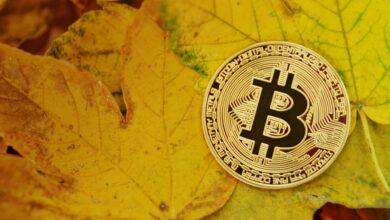 Das Bitcoin-Netzwerk erfährt eine ungewöhnliche Blockverzögerung, Altcoins steigen stark an, während sich die BTC-Konsolidierung dem Ende nähert
