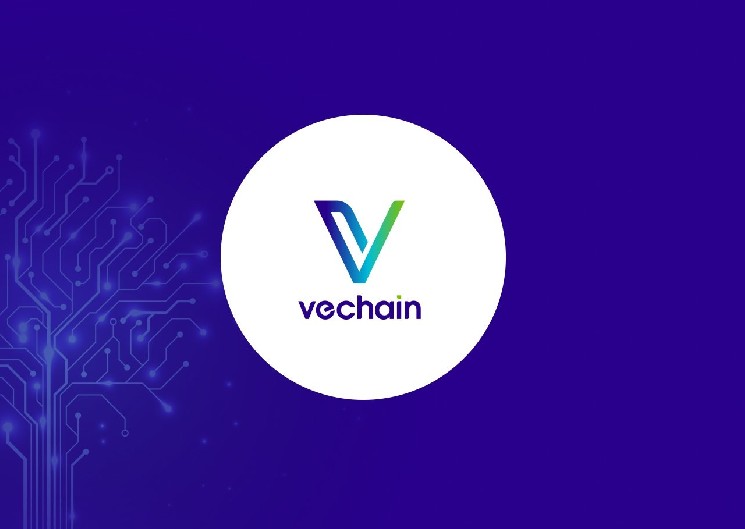 VeChain: Die Zukunft einer vertrauenswürdigen Blockchain-Infrastruktur VeChain ist ein aufstrebendes Unternehmen, das sich der Entwicklung einer vertrauenswürdigen Blockchain-Infrastruktur widmet. Diese Infrastruktur hat das Potenzial, die Akzeptanz in der Wirtschaft entscheidend zu fördern. Durch strategische globale Kooperationen positioniert sich VeChain als möglicher Marktführer in diesem innovativen Sektor. Die Blockchain-Technologie, die von VeChain genutzt wird, erlaubt eine sichere und transparente Datenübertragung. Dies ist besonders in industriellen Anwendungen von Bedeutung, wo Vertrauen und Nachvollziehbarkeit entscheidend sind. VeChain zielt darauf ab, Unternehmen aus verschiedenen Branchen dabei zu unterstützen, ihre Prozesse zu optimieren und gleichzeitig die Effizienz zu steigern. Mit dem Fokus auf globale Partnerschaften …