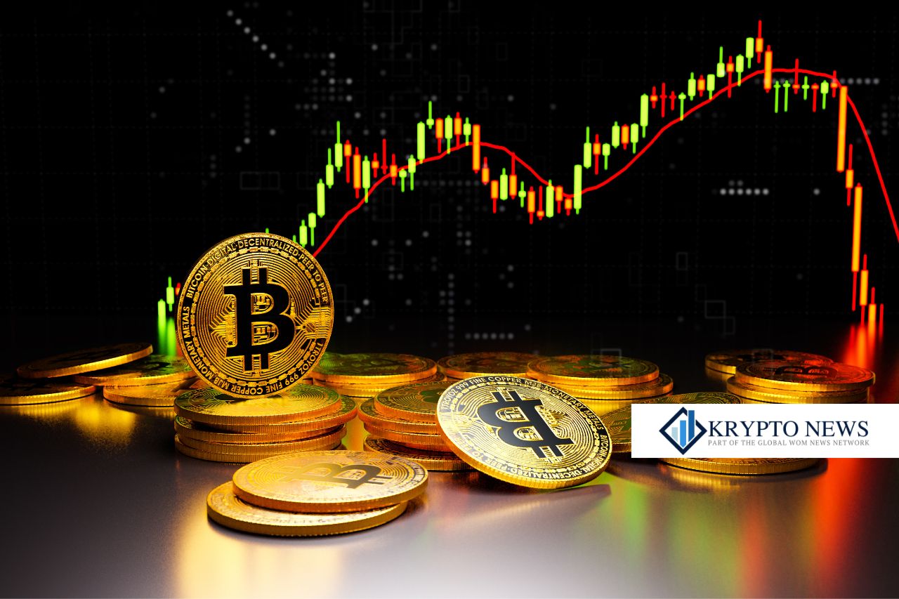 Jed McCaleb: Der Visionär hinter Ripple und Stellar – Ein Vergleich der beiden Blockchain-Giganten